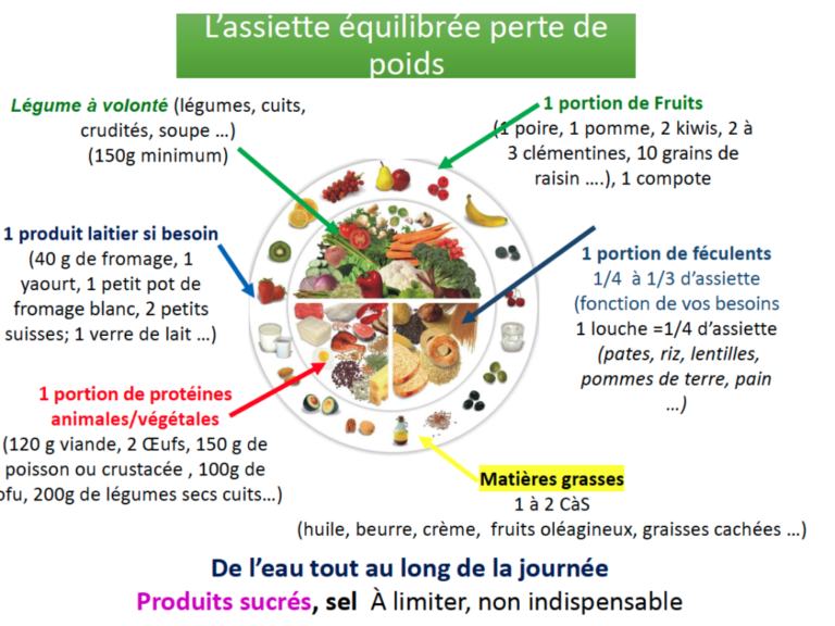 assiette equilibree avec differents aliments