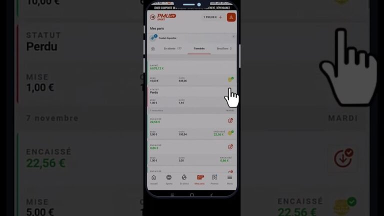 capture decran de linterface de connexion pmu