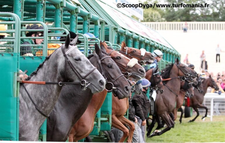 chevaux de course au depart dune course