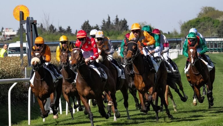 chevaux en course sur un hippodrome