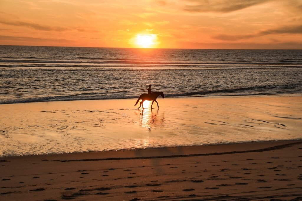 À quelle heure aura lieu le coucher du soleil ce soir
