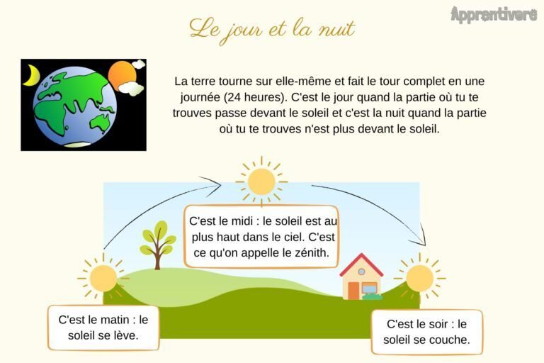 cycle jour nuit dans la nature