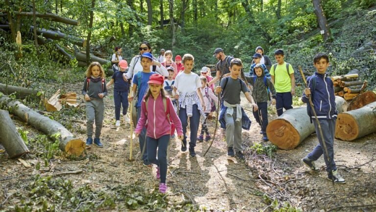 eleves en foret apprentissage pratique