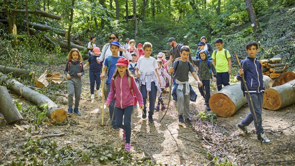 Quels sont les avantages d'un BTS Gestion Forestière en alternance 5 Quels sont les avantages d’un BTS Gestion Forestière en alternance