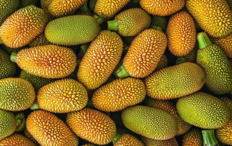 fruits et legumes varies commencant par j