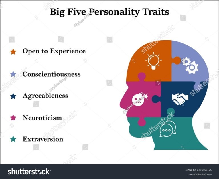 illustration des cinq traits de personnalite
