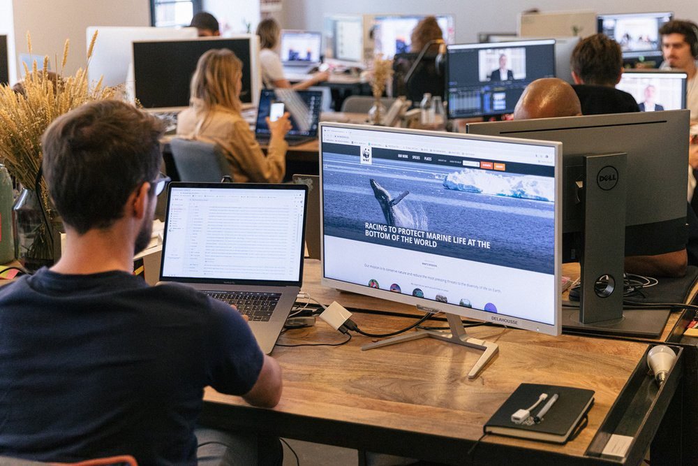 Comment trouver un emploi dans les ONG qui correspond à vos compétences 3 Comment trouver un emploi dans les ONG qui correspond à vos compétences