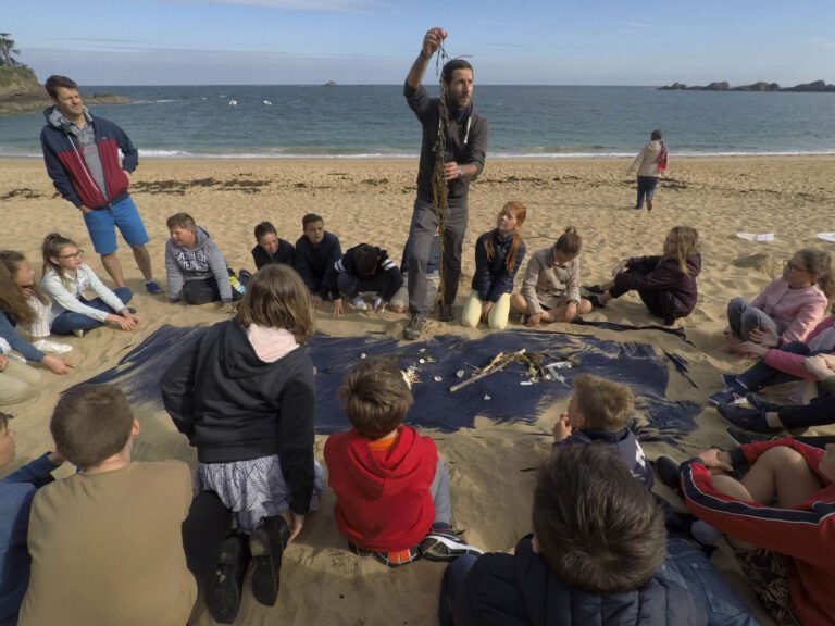 plage avec etudiants en observation scientifique