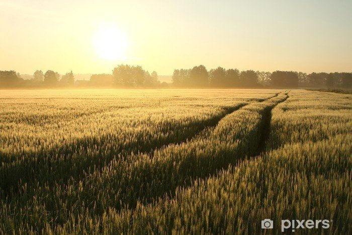 Comment trouver son métier idéal et s'épanouir professionnellement 7 Comment trouver son métier idéal et s’épanouir professionnellement