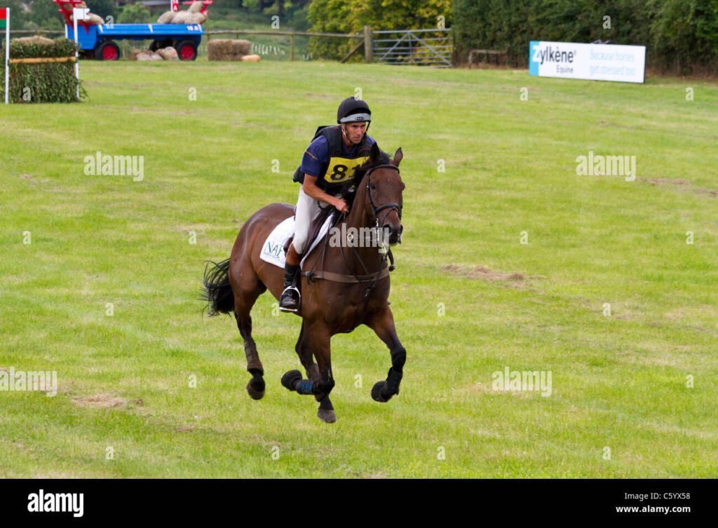 un cheval elegant au galop sur la piste