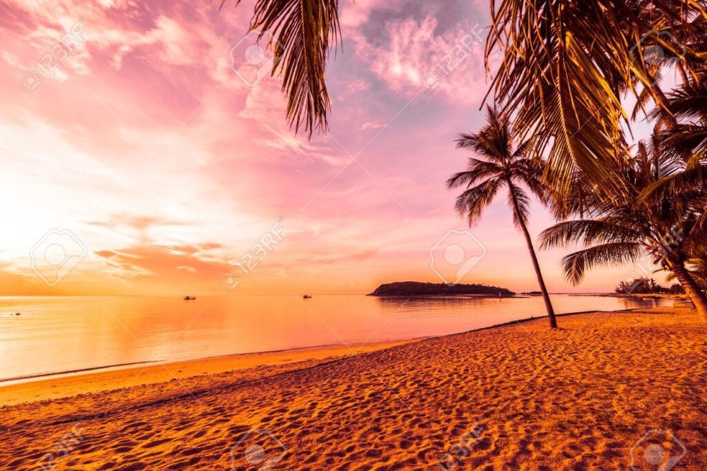 Comment rédiger une phrase d'accroche percutante sur le voyage BTS 8 Comment rédiger une phrase d’accroche percutante sur le voyage BTS