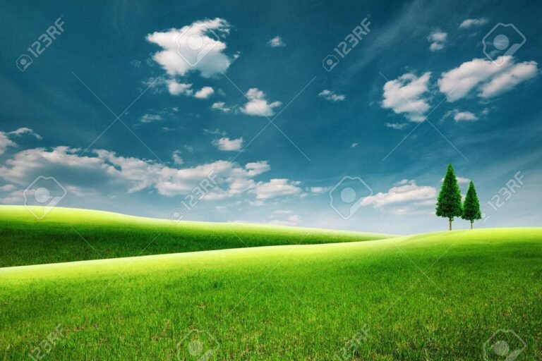 un paysage rural francais sous un ciel bleu