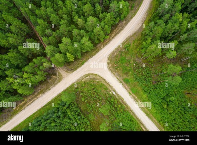 une route avec des chemins qui se croisent
