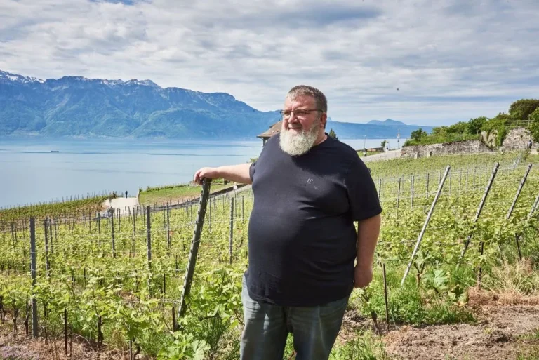 vignerons travaillant dans un vignoble suisse